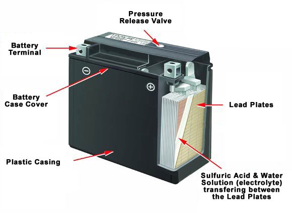 Wet-cell Battery Cutaway