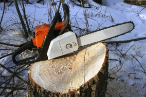 Chainsaw on a stump